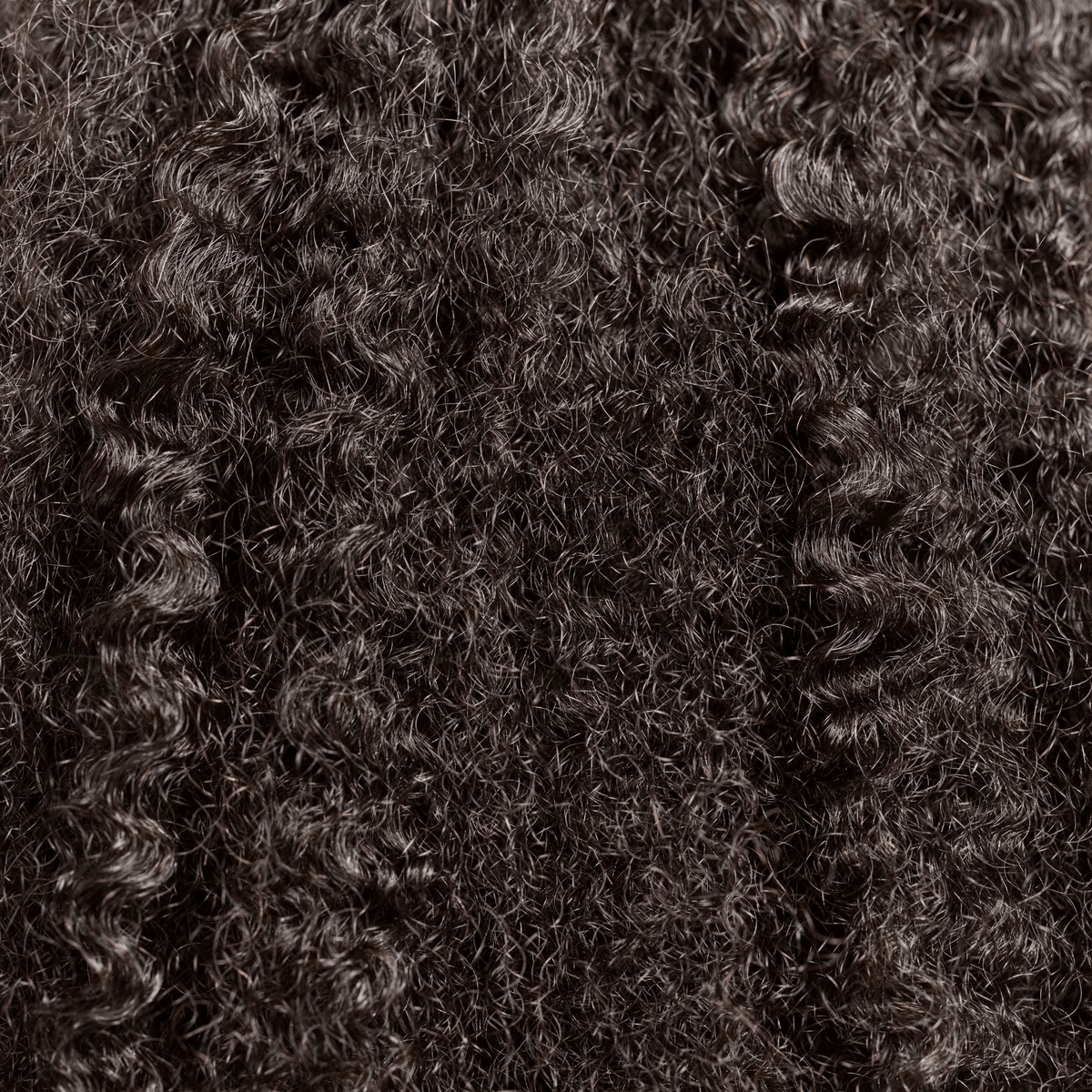 LUSH COIL CURL - Miix Mii Hair Co.