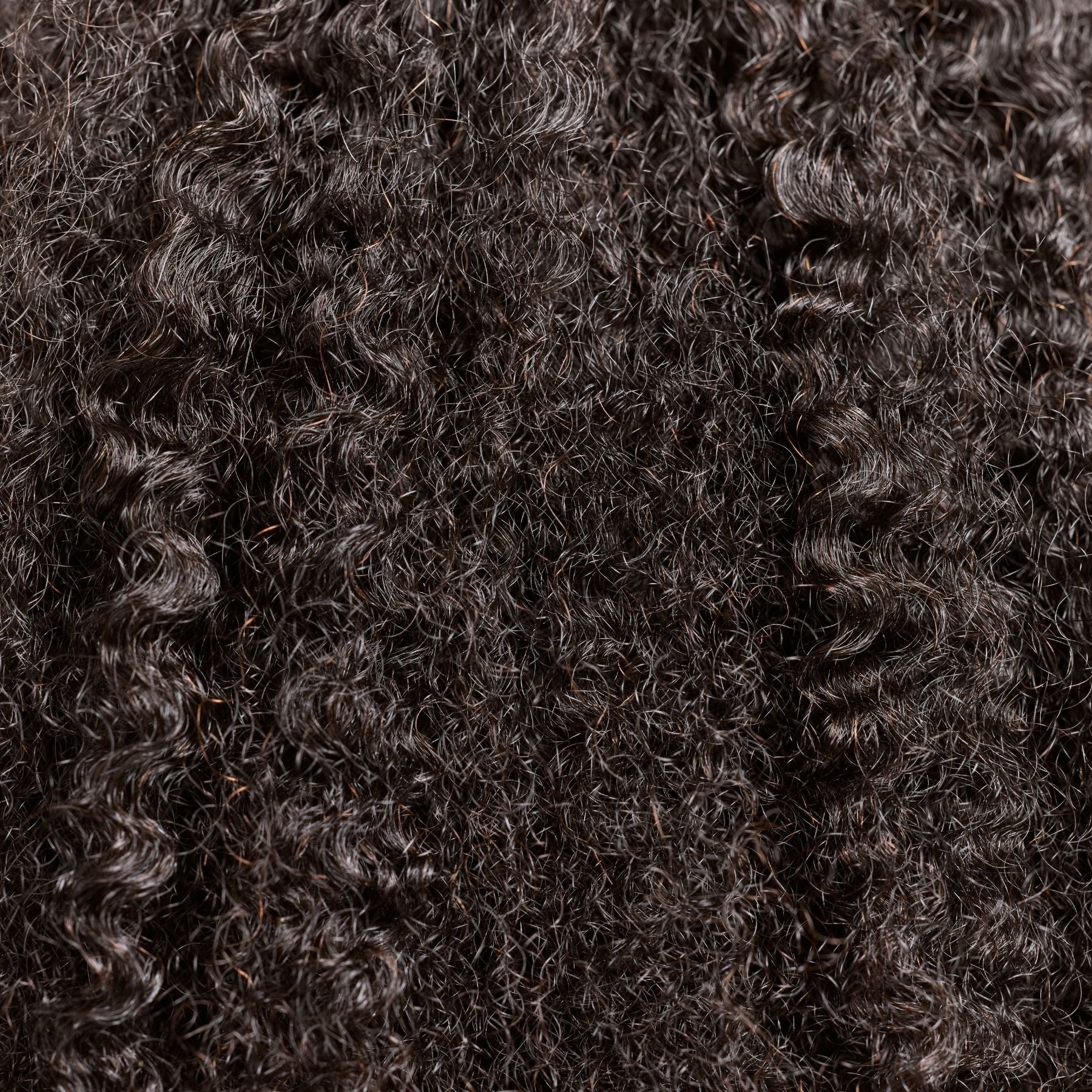 A close-up of afro kinky curly hair extensions in a natural black shade, showcasing tight, voluminous curls with a natural texture. These luxury textured hair extensions mimic the look of natural 4C curls, providing maximum volume, definition, and softness. The high-quality strands enhance fullness while maintaining a lightweight, bouncy feel, making them ideal for protective styles and effortless blending with natural hair.