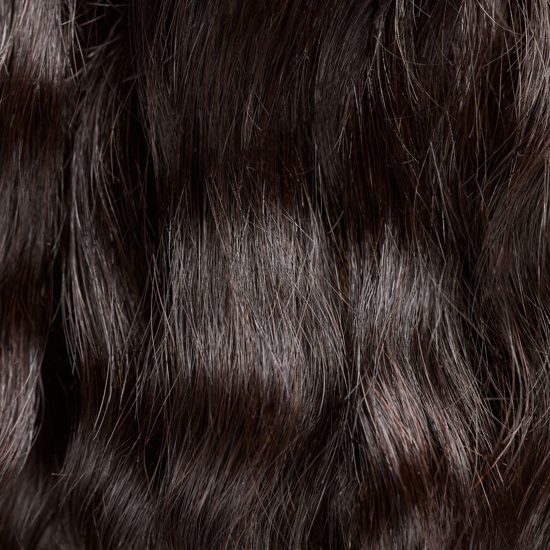 A close-up of loose wavy textured hair extensions in a natural black shade with golden highlights, showcasing soft, flowing waves. These premier textured hair extensions provide natural movement and volume, mimicking the beauty of effortlessly tousled waves. The high-quality strands have a silky, lightweight feel and a glossy shine, making them perfect for versatile styling and a seamless blend with natural hair.