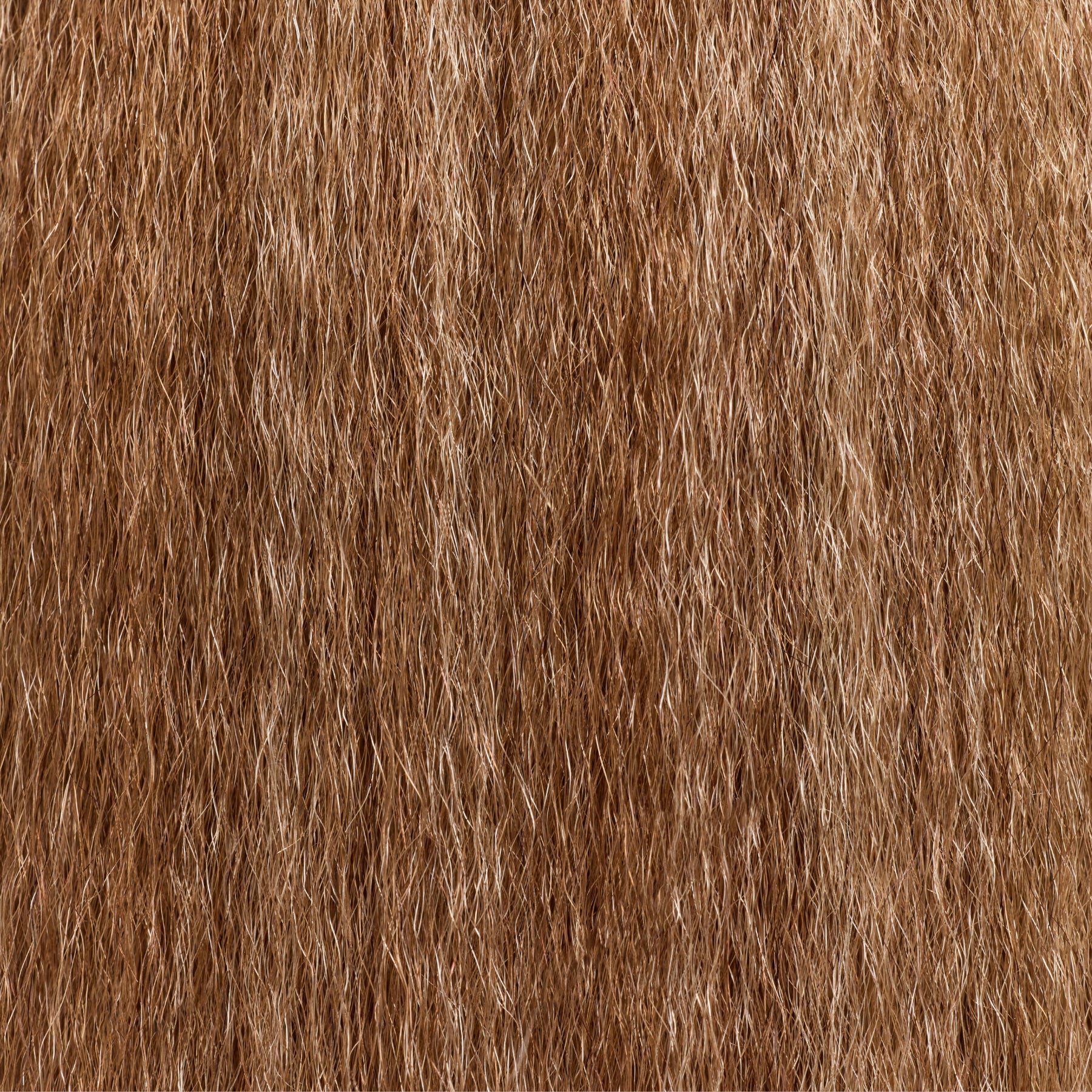 CLASSIC CLIP-IN | TEXTURED BLOW-OUT | DULCE - Miix Mii Hair Co.